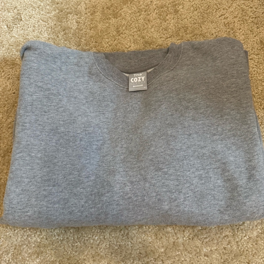 Aritzia TNA Boyfriend Crewneck